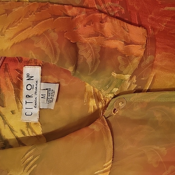 Shear blouse size medium. By Citron if Santa Monica. Fall colors - Picture 3 of 3